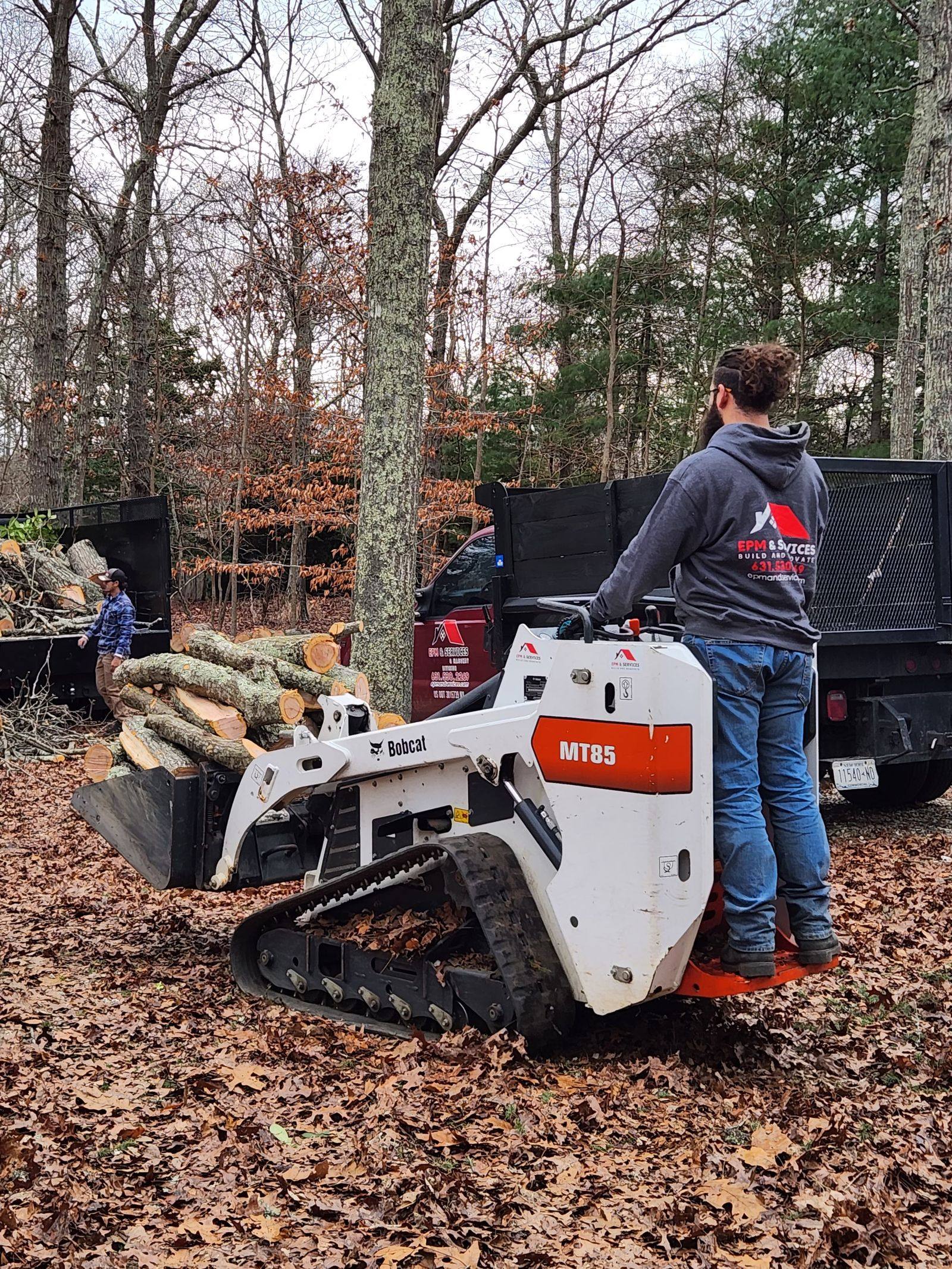 Bobcat loading cut logs during tree removal in Lake County, FL