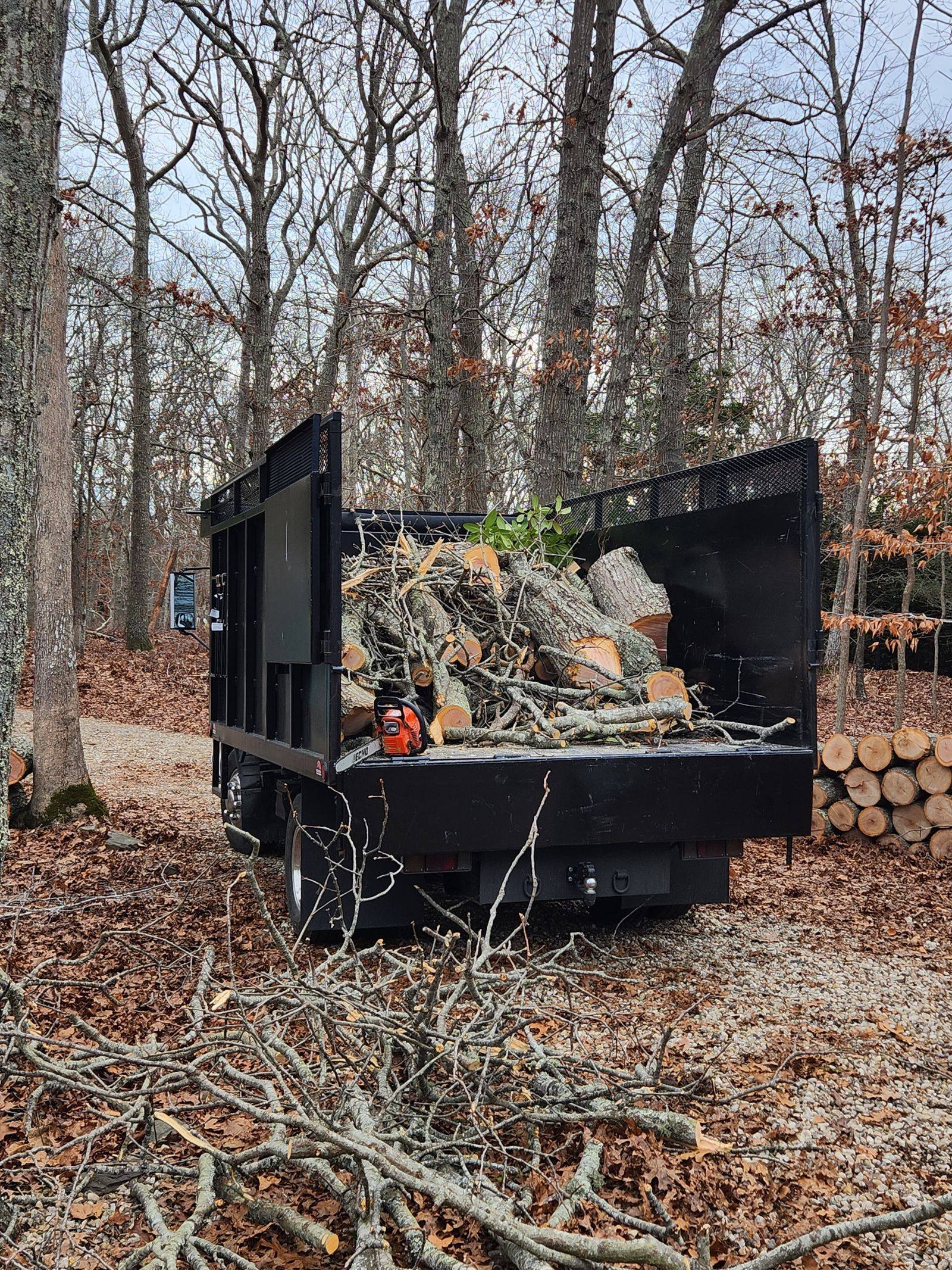 Log and branch hauling after yard cleanup and tree removal in Eustis, FL